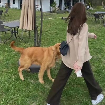 女主播风云